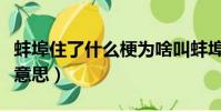 蚌埠住了什么梗為啥叫蚌埠(蚌埠住了是什么意思)