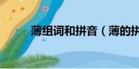 薄組詞和拼音(薄的拼音是什么)
