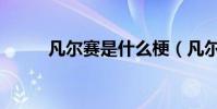 凡爾賽是什么梗(凡爾賽的意思)