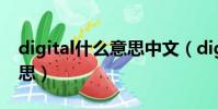 digital什么意思中文(digital中文是什么意思)