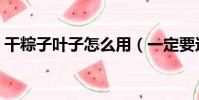 干粽子葉子怎么用(一定要這樣處理后再用)