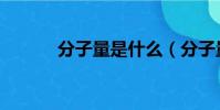分子量是什么(分子量的解釋)