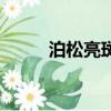 泊松亮斑是什么（泊松亮斑介紹）