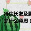 待你長發及腰是什么梗（網絡語待你長發及腰是什么意思）