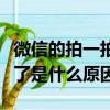 微信的拍一拍用不了為什么（微信拍一拍用不了是什么原因）