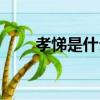 孝悌是什么意思（孝悌應該怎么讀）