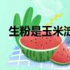 生粉是玉米淀粉嗎（生粉是不是玉米淀粉）