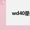 wd40是什么東西（wd40的解釋）