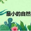 最小的自然數是幾（這些知識點要記住）