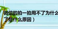 微信的拍一拍用不了為什么(微信拍一拍用不了是什么原因)
