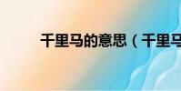 千里馬的意思(千里馬相關解釋)