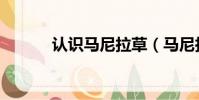 認識馬尼拉草(馬尼拉草資料)