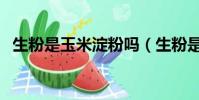 生粉是玉米淀粉嗎(生粉是不是玉米淀粉)