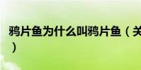 鴉片魚為什么叫鴉片魚(關于鴉片魚名字由來)