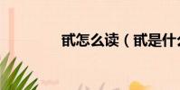 甙怎么讀(甙是什么東西)