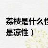 荔枝是什么性質的水果（荔枝屬于熱性水果還是涼性）