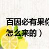 百因必有果你的報應就是我什么意思（這句話怎么來的）