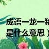 成語一龍一豬用來比喻兩個人（成語一龍一豬是什么意思）