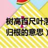 樹高百尺葉落歸根是什么意思（樹高百尺葉落歸根的意思）