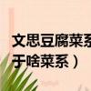 文思豆腐菜系屬于什么菜系（文思豆腐菜系屬于啥菜系）