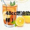 48cc燃油助力車要上牌嗎（上牌的時候要怎樣）