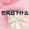 世風日下什么意思（詞語世風日下什么意思）