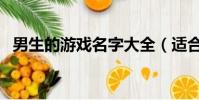 男生的游戲名字大全(適合男生的游戲名)