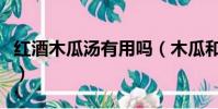 紅酒木瓜湯有用嗎(木瓜和紅酒都有什么功效)