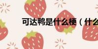 可達鴨是什么梗(什么是可達鴨)