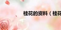 桂花的資料(桂花介紹)