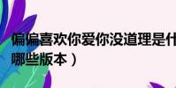 偏偏喜歡你愛你沒道理是什么歌(愛不停息有哪些版本)