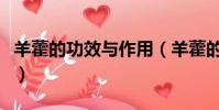 羊藿的功效與作用(羊藿的功效與作用是什么)
