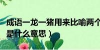 成語一龍一豬用來比喻兩個人(成語一龍一豬是什么意思)