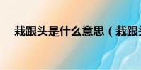 栽跟頭是什么意思(栽跟頭意思是什么)