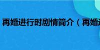 再婚進行時劇情簡介(再婚進行時劇情介紹)