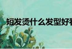 短發燙什么發型好看（這五種發型很流行）