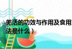 羌活的功效與作用及食用方法（羌活的功效與作用及食用方法是什么）