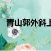 青山郭外斜上一句（過故人莊原文及翻譯）