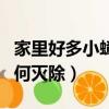 家里好多小蟑螂怎么滅除（家里好多小蟑螂如何滅除）