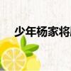 少年楊家將劇情（少年楊家將內容簡介）