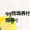 qq牧場養什么經驗最多（有哪些高階動物值得養）
