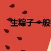 生粽子一般要煮多久（生粽子要煮多久）