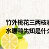 竹外桃花三兩枝春江水暖鴨先知意思（竹外桃花三兩枝春江水暖鴨先知是什么意思）