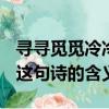 尋尋覓覓冷冷清清凄凄慘慘戚戚是什么意思（這句詩的含義）