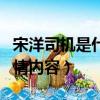 宋洋司機是什么電視劇（了解一下電視劇的劇情內容）