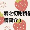 愛之初謝橋最后和誰在一起了（愛之初謝橋劇情簡介）