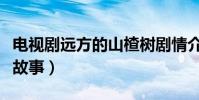 電視劇遠方的山楂樹劇情介紹(講述的是什么故事)