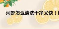 河蝦怎么清洗干凈又快(如何清洗河蝦)