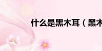 什么是黑木耳(黑木耳簡述)