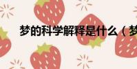 夢的科學解釋是什么(夢的科學解釋)